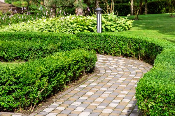 Paved Landscaping in New Braunfels